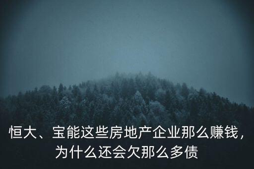 鄂爾多斯為什么為什么欠那么多債,為什么欠債多了稱一屁股債