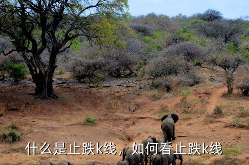 什么是止跌k線，如何看止跌k線