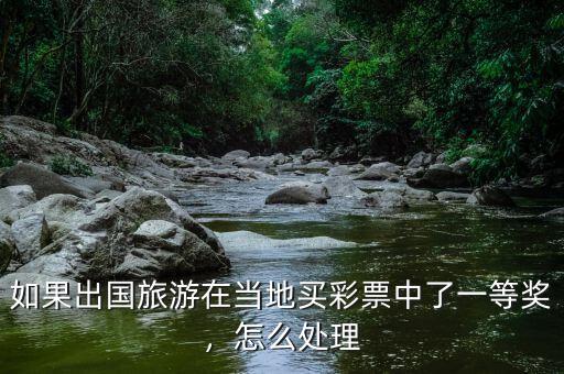 如果出國旅游在當?shù)刭I彩票中了一等獎，怎么處理