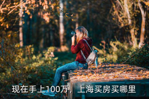 100萬(wàn)在中國(guó)能買(mǎi)什么樣的房子,如果有100萬(wàn)