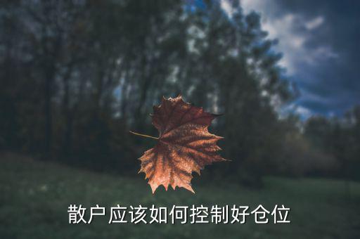 怎么控制倉位,散戶應該如何控制好倉位