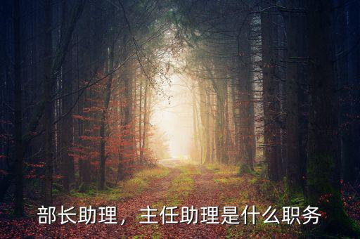 商務(wù)部部長助理什么級(jí)別,主任助理是什么職務(wù)