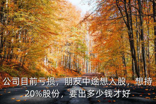 中途入股怎么算股份,朋友中途想入股