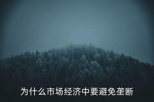 為什么壟斷不會使價格上漲,為什么需求增加價格上漲