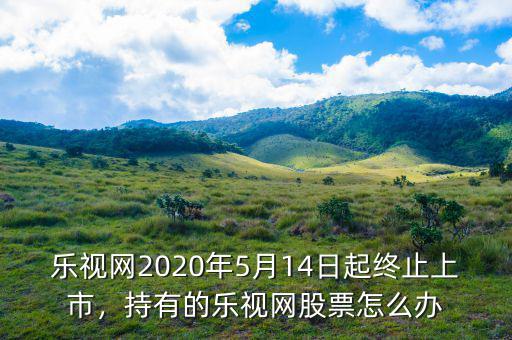 樂視網(wǎng)2020年5月14日起終止上市，持有的樂視網(wǎng)股票怎么辦