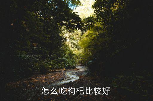 怎么吃枸杞比較好