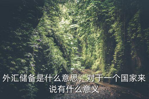 外匯儲(chǔ)備是什么意思，對(duì)于一個(gè)國(guó)家來(lái)說(shuō)有什么意義