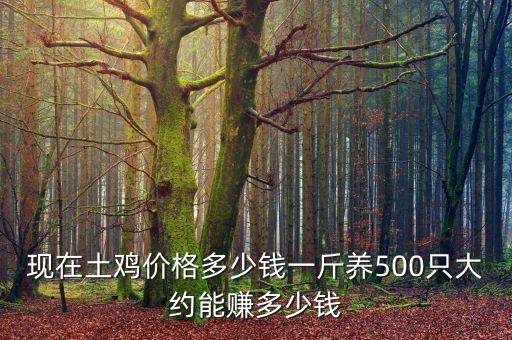 現(xiàn)在土雞價格多少錢一斤養(yǎng)500只大約能賺多少錢