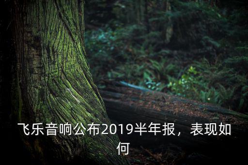 飛樂音響待遇怎么樣,飛樂音響公布2019半年報(bào)