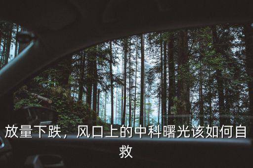 放量下跌，風(fēng)口上的中科曙光該如何自救