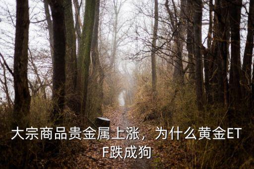 為什么說跌成狗,為什么黃金ETF跌成狗