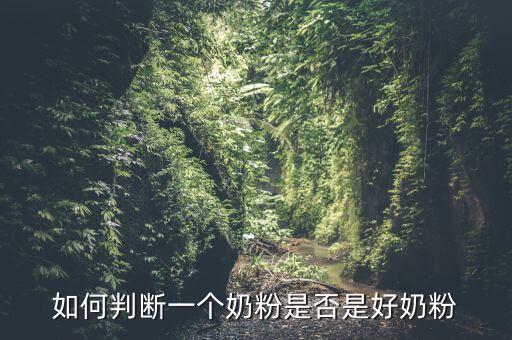 什么奶粉檢驗(yàn)最嚴(yán)格,什么奶粉最好最安全