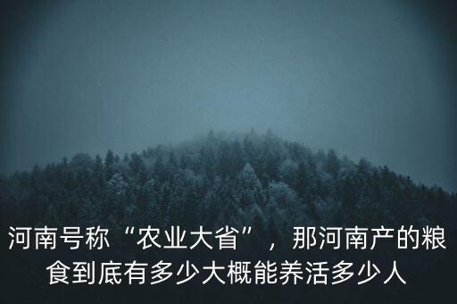 河南號(hào)稱“農(nóng)業(yè)大省”，那河南產(chǎn)的糧食到底有多少大概能養(yǎng)活多少人