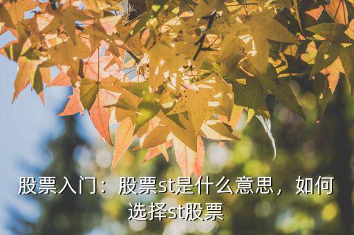 股票入門(mén)：股票st是什么意思，如何選擇st股票