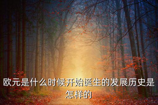 歐元是什么時(shí)候開始誕生的發(fā)展歷史是怎樣的