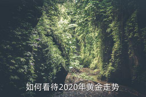 如何看待2020年黃金走勢(shì)