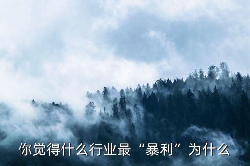 你覺(jué)得什么行業(yè)最“暴利”為什么