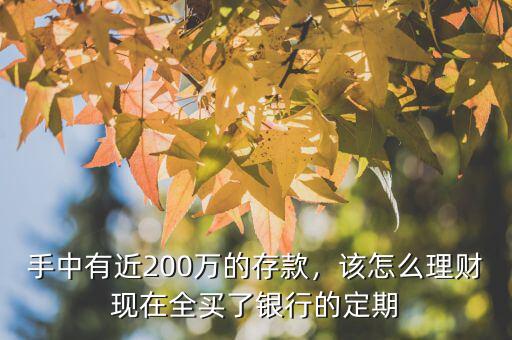 200萬存款怎么理財,手里有300萬存款