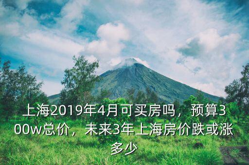 上海2019年4月可買房嗎，預(yù)算300w總價，未來3年上海房價跌或漲多少