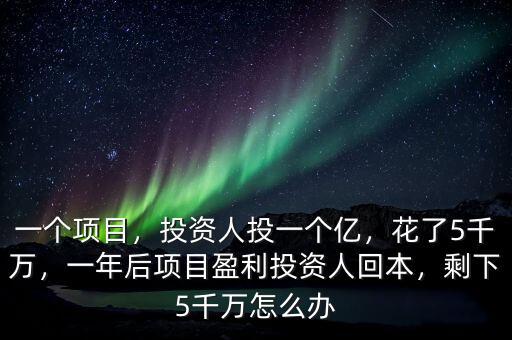 一個項目，投資人投一個億，花了5千萬，一年后項目盈利投資人回本，剩下5千萬怎么辦