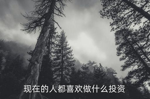 現(xiàn)在的人都喜歡做什么投資