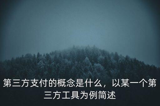 第三方支付的概念是什么，以某一個(gè)第三方工具為例簡(jiǎn)述