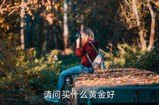 請(qǐng)問(wèn)買(mǎi)什么黃金好