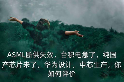 ASML斷供失效，臺積電急了，純國產(chǎn)芯片來了，華為設計，中芯生產(chǎn)，你如何評價