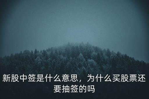 新股中簽是什么意思，為什么買股票還要抽簽的嗎