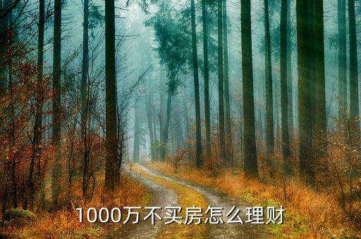 1000萬(wàn)不買房怎么理財(cái)