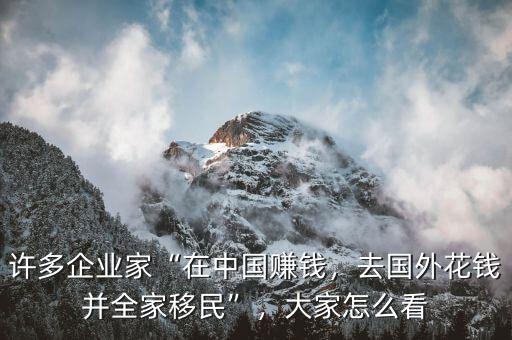 許多企業(yè)家“在中國賺錢，去國外花錢并全家移民”，大家怎么看