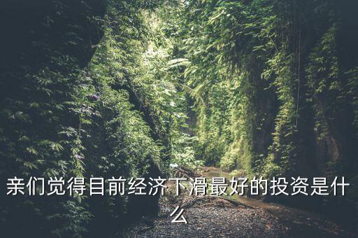 親們覺得目前經(jīng)濟(jì)下滑最好的投資是什么