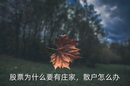 股票為什么要有莊家，散戶怎么辦