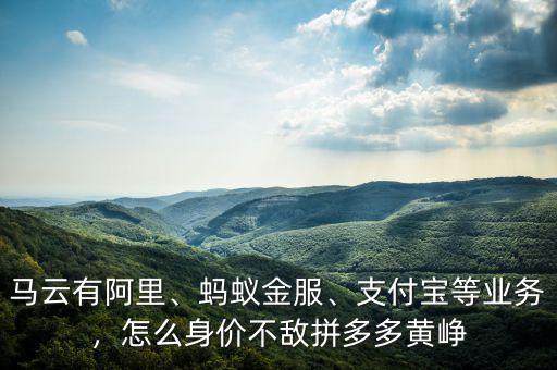 馬云有阿里、螞蟻金服、支付寶等業(yè)務(wù)，怎么身價(jià)不敵拼多多黃崢