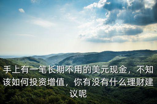 手上有一筆長期不用的美元現(xiàn)金，不知該如何投資增值，你有沒有什么理財(cái)建議呢