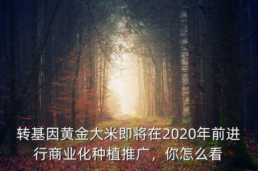 轉(zhuǎn)基因黃金大米即將在2020年前進行商業(yè)化種植推廣，你怎么看