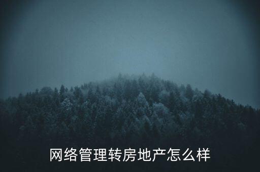 金網(wǎng)絡房地產(chǎn)怎么樣,房地產(chǎn)如何進行線上營銷