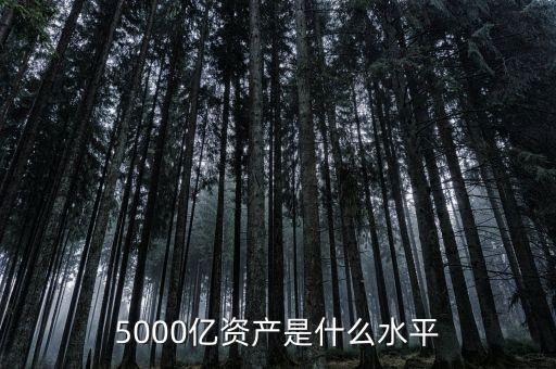 5000億什么概念,5000億資產(chǎn)是什么水平