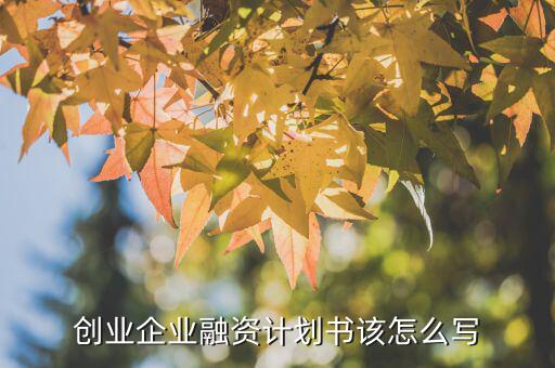 微小企業(yè)融資計(jì)劃怎么寫,小微企業(yè)創(chuàng)業(yè)計(jì)劃書怎么寫