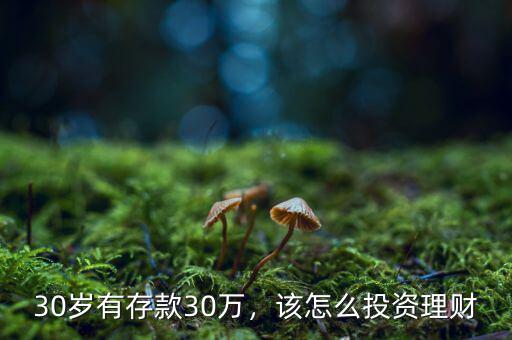 30歲有存款30萬(wàn)，該怎么投資理財(cái)