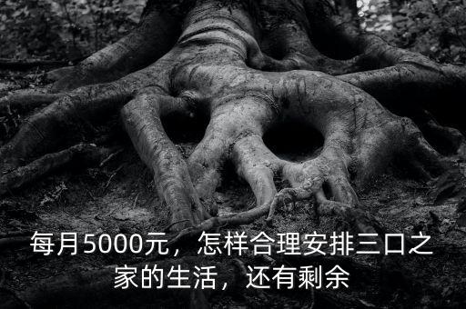 每月5000元，怎樣合理安排三口之家的生活，還有剩余