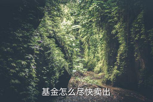 基金快速賣出什么意思,基金轉(zhuǎn)換和賣出有什么區(qū)別