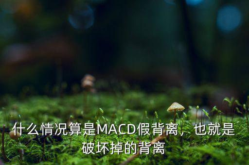 頂背離什么情況下不成立,什么情況算是MACD假背離