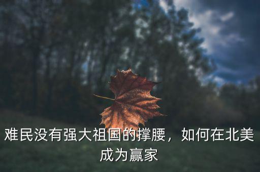 怎么成為難民,創(chuàng)業(yè)難民是怎么回事