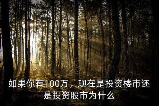 如果你有100萬，現(xiàn)在是投資樓市還是投資股市為什么