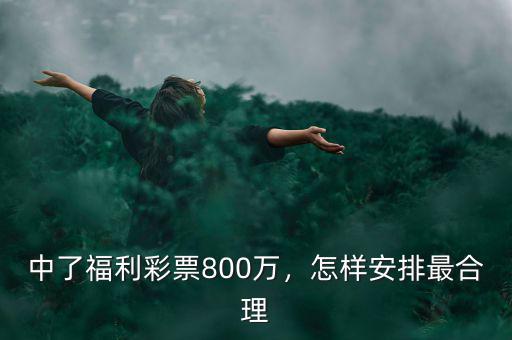 中了福利彩票800萬(wàn)，怎樣安排最合理