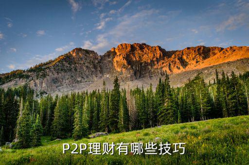 P2P理財(cái)有哪些技巧