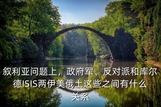 敘利亞和isis什么關(guān)系,敘利亞反政府武裝什么關(guān)系