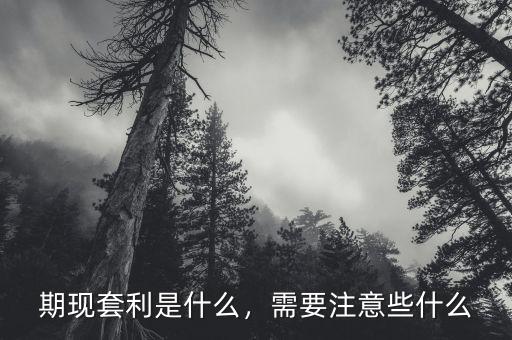 什么套利,需要注意些什么