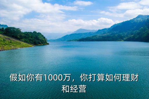 我有1000萬怎么理財(cái),假如你有1000萬